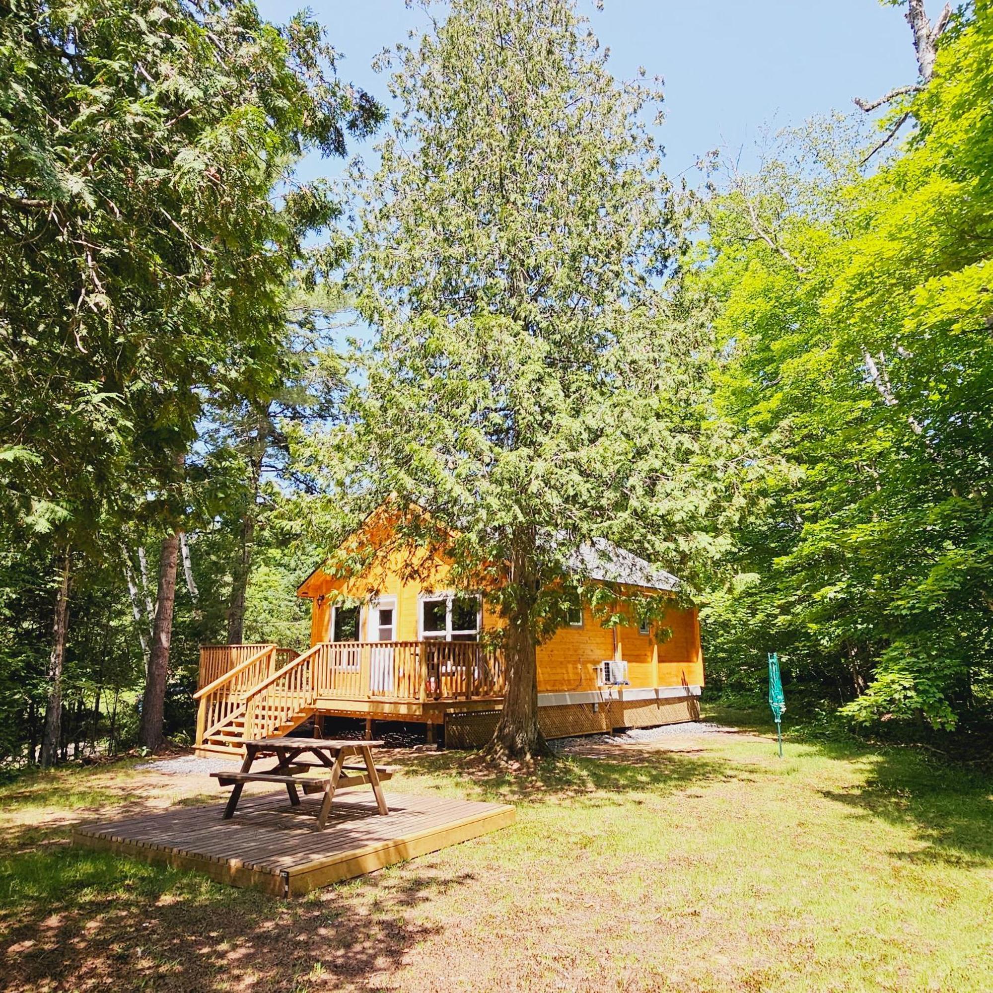 Parkway Cottage Resort And Trading Post Dwight Eksteriør billede